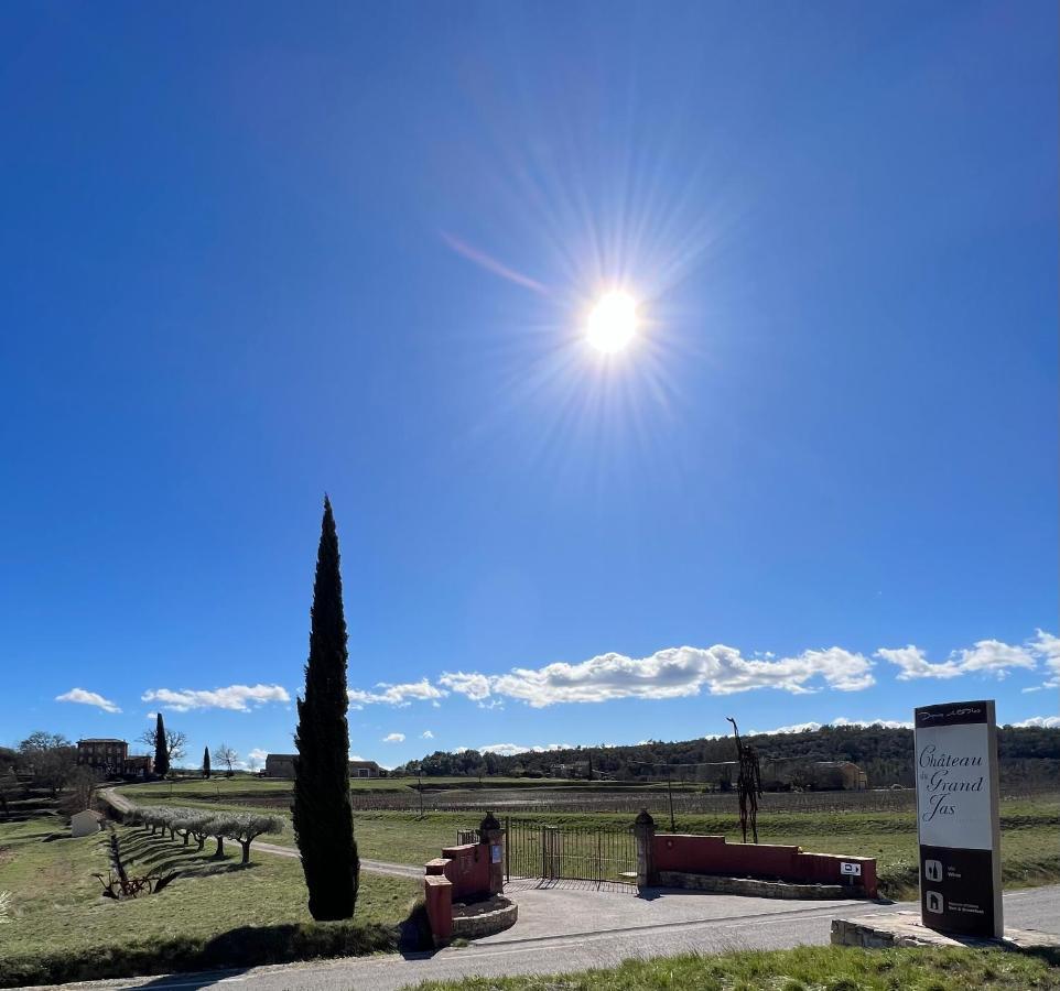 Chateau Du Grand Jas Entrecasteaux Buitenkant foto