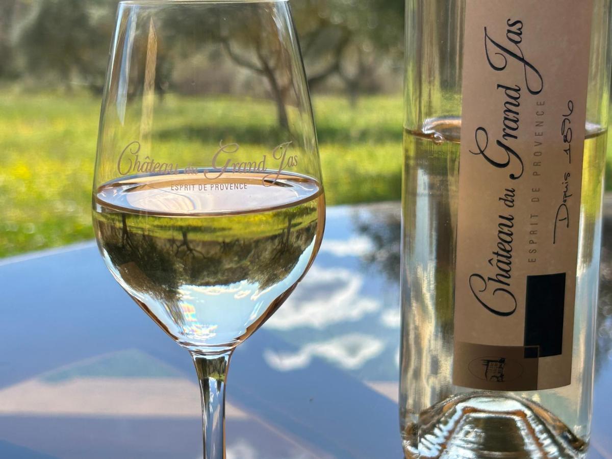 Chateau Du Grand Jas Entrecasteaux Buitenkant foto