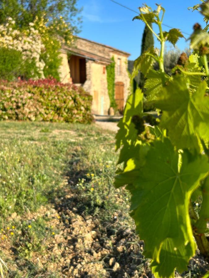 Chateau Du Grand Jas Entrecasteaux Buitenkant foto