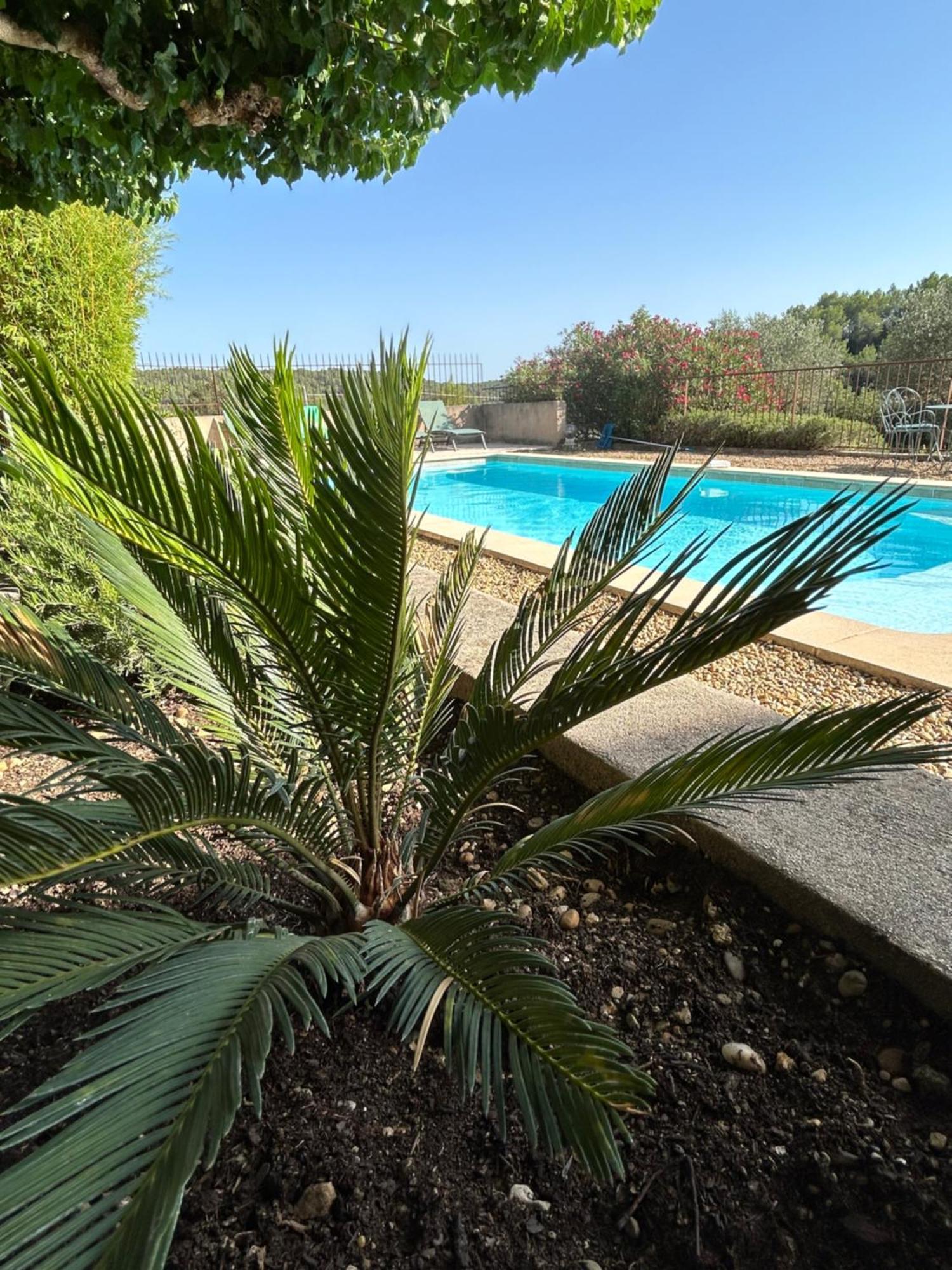 Chateau Du Grand Jas Entrecasteaux Buitenkant foto